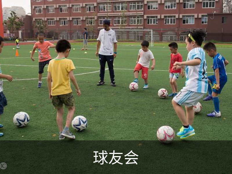 了解球友会